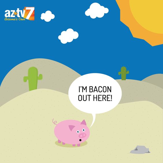 Pig is "Bacon" in the sun
