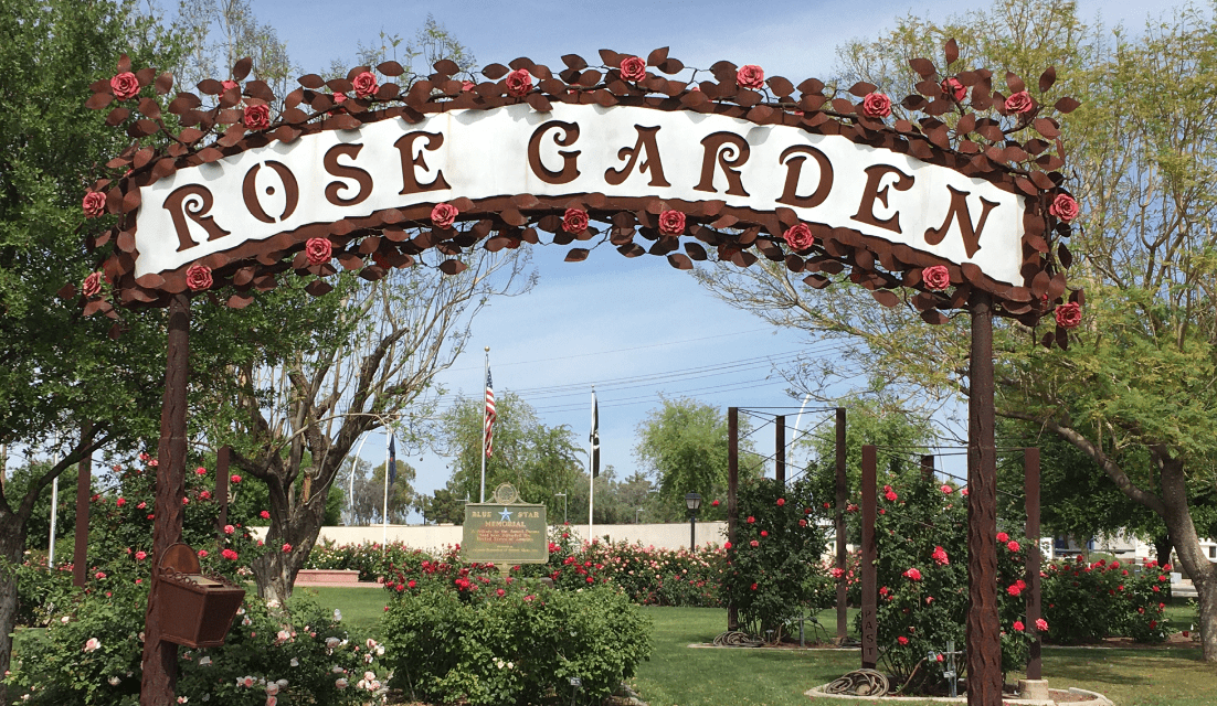 Stop and Smell the Roses in Mesa, Arizona